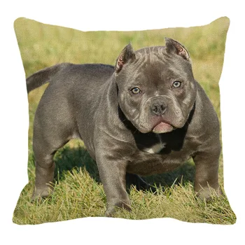 XUNYU 45cmx45m animale de companie American bully câine nou de lenjerie de pat din bumbac confortabil față de pernă canapea acasă decorare îmbrățișare față de pernă YH061