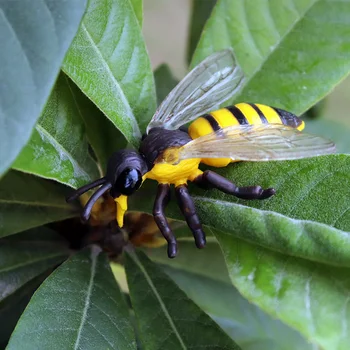 Oenux Simulare Insecte Drăguț Animale Cifrele De Acțiune Pădure Fluture De Albine Spider Gărgăriță Model Figurine De Educație Pentru Copii Cadou Jucărie