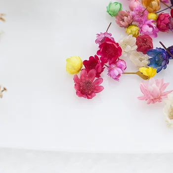 200pcs Flori Uscate Capul Uscat Daisy Plante pentru Epoxidică Rășină Pandantiv Colier Bijuterii de Luare de Artizanat DIY Nail Art Accesorii