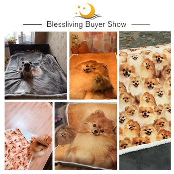 BlessLiving de Aur Pomeranian Sherpa Pătură pe Paturi de Câine de Colectare a Arunca Pătură pentru Copii Animal Caine Moale Cuverturi de pat manta